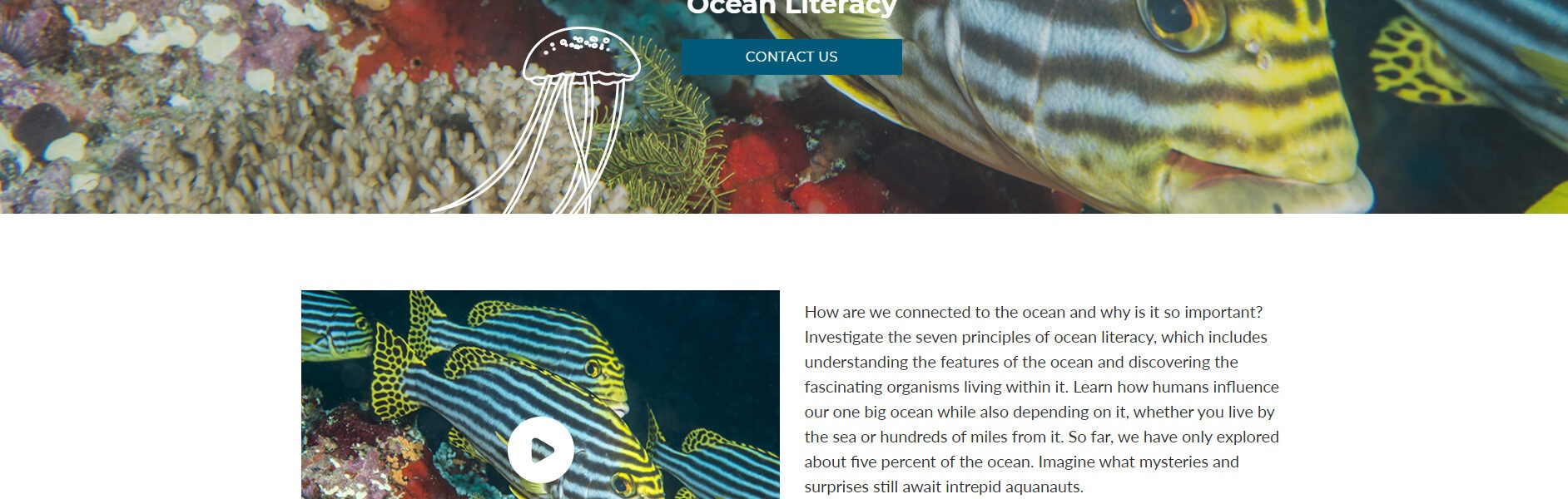 OceanFirst Education