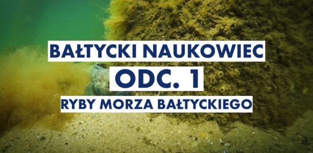 Odc. 1: Ryby Morza Bałtyckiego
